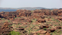 DSC00222