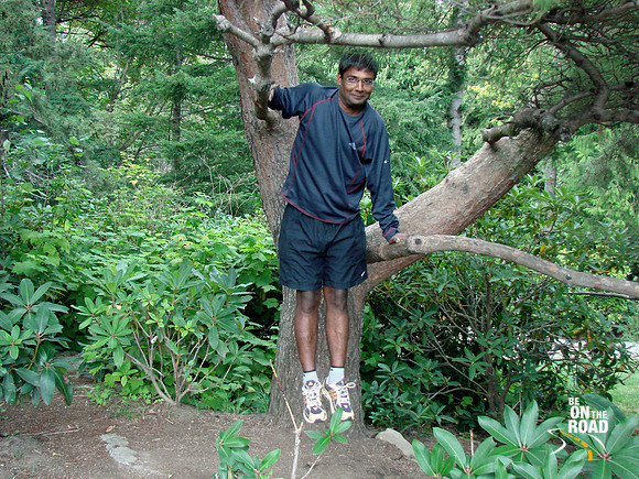 Ravi and his antics - 3