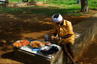 Shivanasamudra Road Trip0014