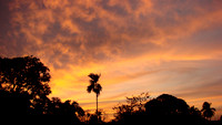 DSC09996
