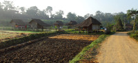 Bambook Huts in Pai Village