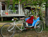 A Flowery Cycle Rickshaw at Ban Pai Riverside Hotel Property
