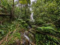 Totally untouched and pristine forest waterfall between Oothu and Kudrevetty
