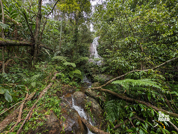 Totally untouched and pristine forest waterfall between Oothu and Kudrevetty