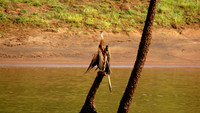 DSC01314