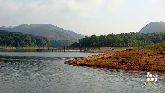 DSC01339