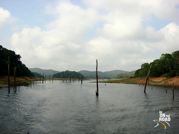 DSC01397