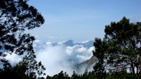 DSC01141