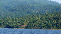 DSC09764