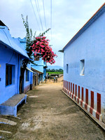 Bouganvilla and Kallidaikurichi Village lanes