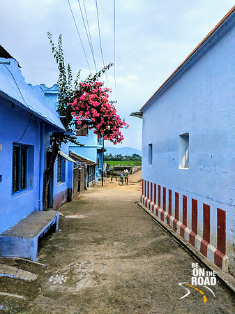 Bouganvilla and Kallidaikurichi Village lanes