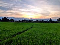 Gorgeous evening landscape at Kallidaikurichi village, Tirunelveli, Tamil Nadu