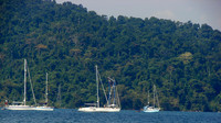 DSC09774