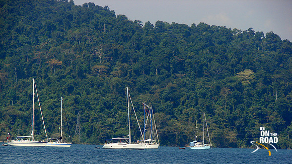 DSC09774
