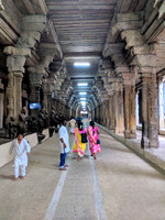 A walk inside the magnificent Nellaiappar Temple, Tirunelveli