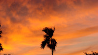 DSC00004