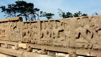 DSC08703