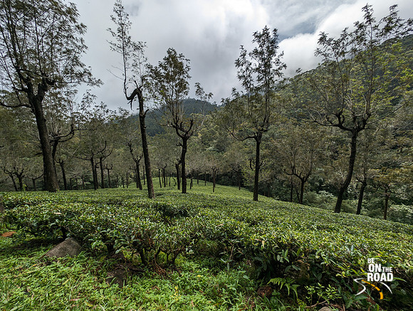 Pretty landscape between Oothu and Kudrevetty, KMTR