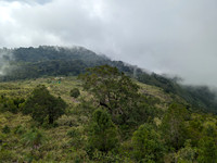 Forest Rest House at Kudrevetty - completely remote location