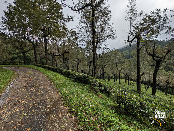 Scenic route between Oothu and Kudrevetty, KMTR