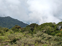 Karaiyar Dam and forest view as seen from Kudrevetty Watch Tower