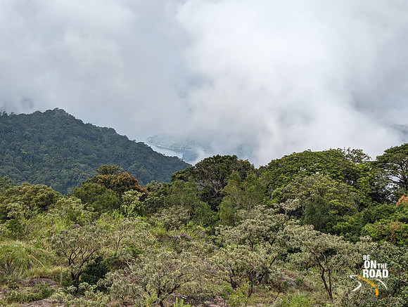 Karaiyar Dam and forest view as seen from Kudrevetty Watch Tower