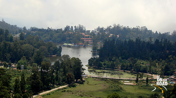 DSC01175
