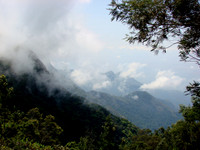 DSC01146