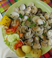 Clams aplenty at Koh Samui