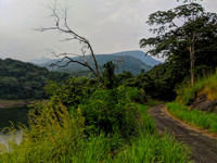 The beautiful forests and mountains next to Karaiyar Dam, Kalakad Mundanthurai Tiger Reserve