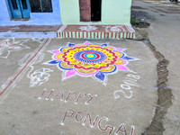 Colorful Kollams galore on the occasion of Pongal at Kallidaikurichi, Tamil Nadu