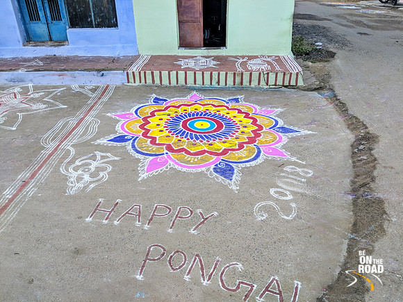 Colorful Kollams galore on the occasion of Pongal at Kallidaikurichi, Tamil Nadu