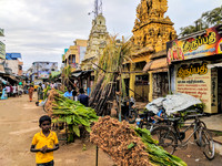 Pongal festivities adorn Kallidaikurichi village market, Tamil Nadu
