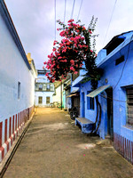 Freshly painted streets of Kallidaikurichi in preparation for Pongal