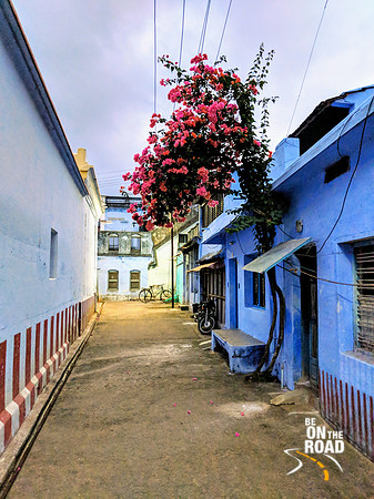 Freshly painted streets of Kallidaikurichi in preparation for Pongal