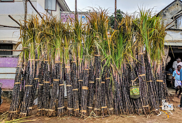 Sugarcane to celebrate Pongal - Kallidaikurichi market, Tamil Nadu