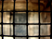 DSC08681