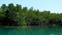 DSC00139