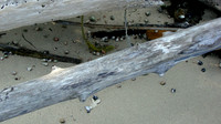 DSC00195