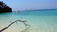 DSC00191