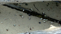DSC00196