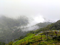 Bisle View Point, a gorgeous tract of rainforest in Karnataka