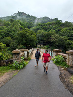 A scenic walk near Manimuthar Falls, Tamil Nadu