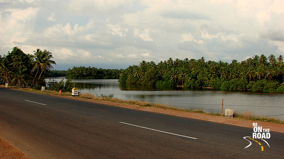 DSC00503