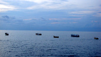 DSC00520