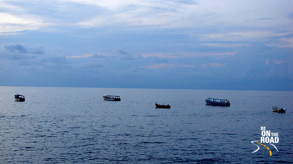 DSC00520