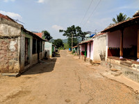 A rural Tamil Nadu countryside moment