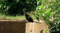 DSC08362