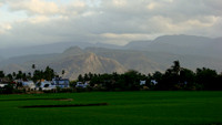 DSC08411