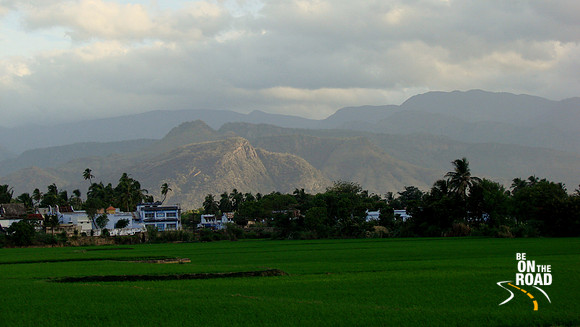 DSC08411